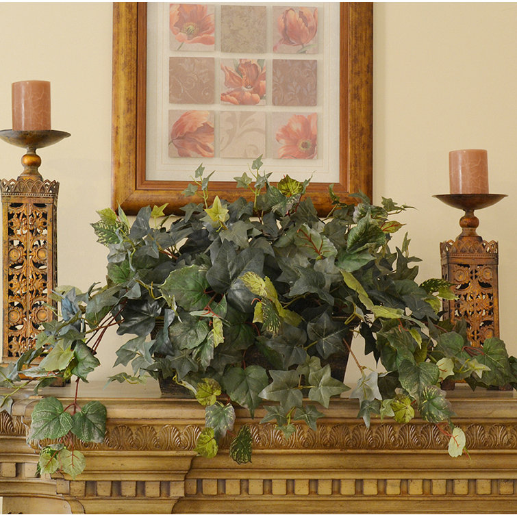 Darby Home Co Ivy Ledge Floral Arrangement in Planter & Reviews Wayfair
